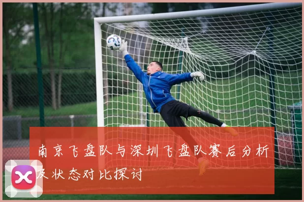 南京飞盘队与深圳飞盘队赛后分析及状态对比探讨