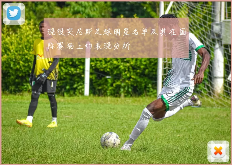 现役突尼斯足球明星名单及其在国际赛场上的表现分析