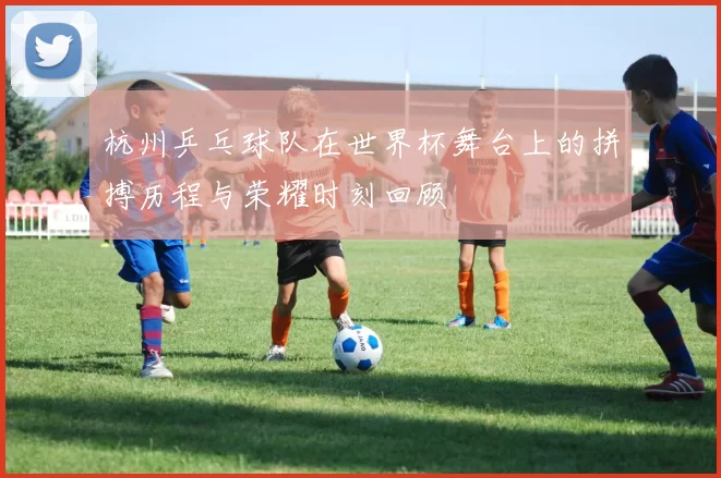 杭州乒乓球队在世界杯舞台上的拼搏历程与荣耀时刻回顾