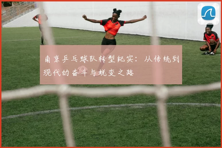 南京乒乓球队转型纪实：从传统到现代的奋斗与蜕变之路