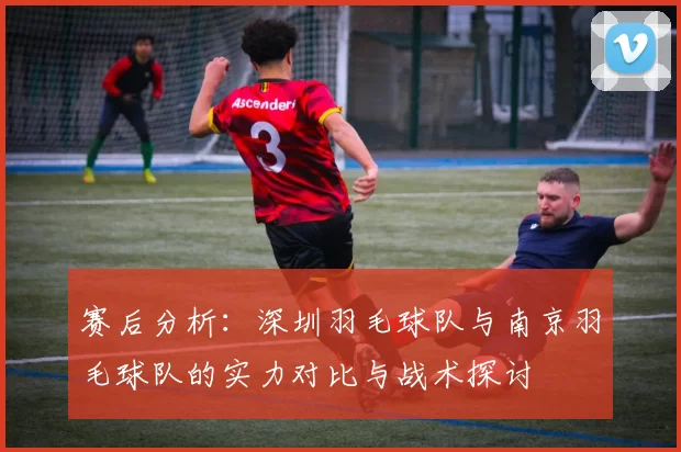 赛后分析：深圳羽毛球队与南京羽毛球队的实力对比与战术探讨