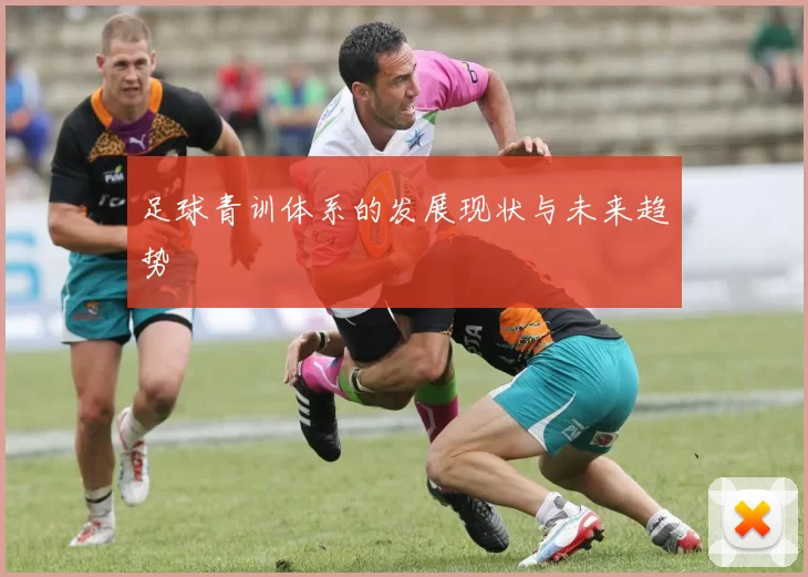 足球青训体系的发展现状与未来趋势
