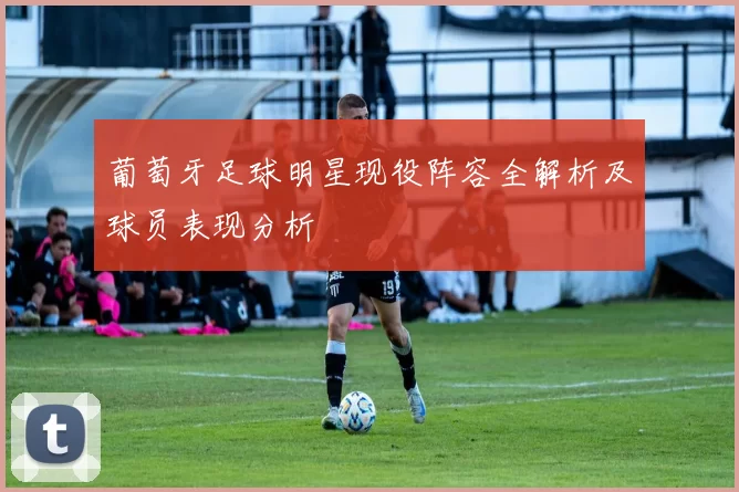 葡萄牙足球明星现役阵容全解析及球员表现分析