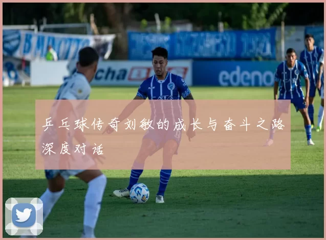 乒乓球传奇刘敏的成长与奋斗之路深度对话