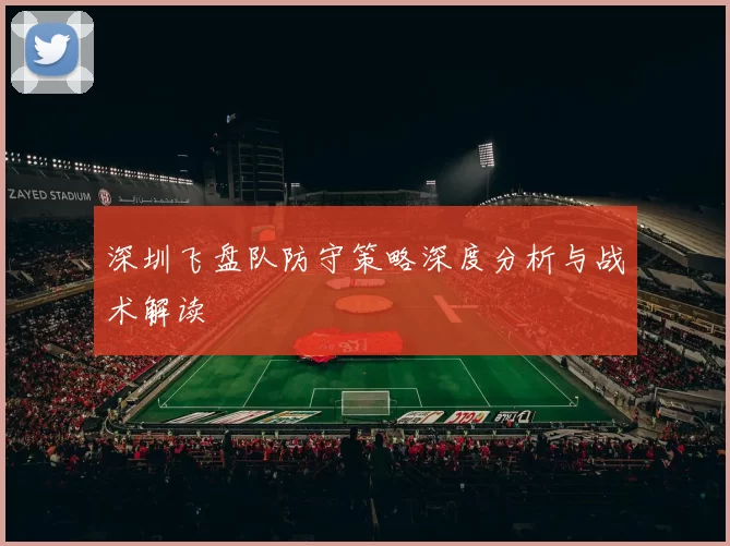深圳飞盘队防守策略深度分析与战术解读