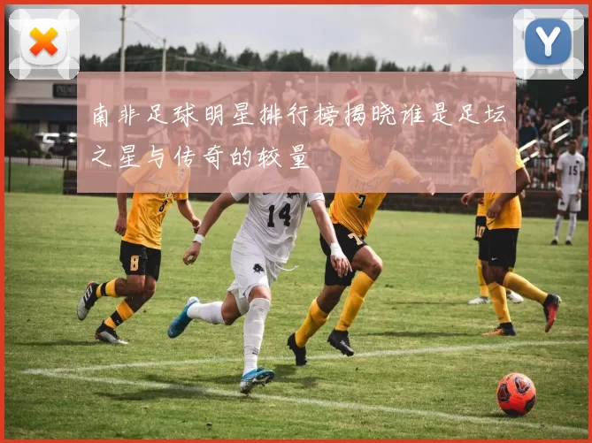 南非足球明星排行榜揭晓谁是足坛之星与传奇的较量