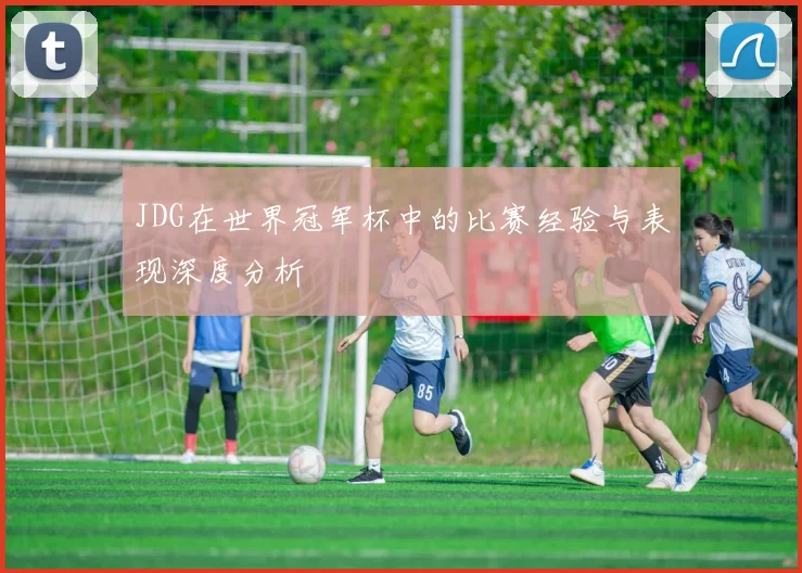 JDG在世界冠军杯中的比赛经验与表现深度分析