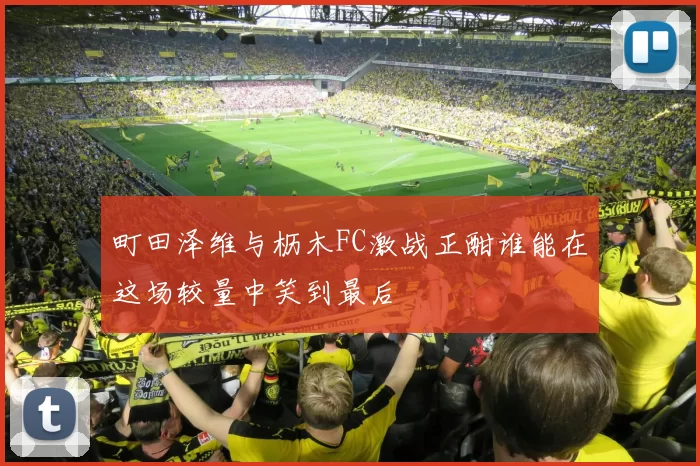 町田泽维与枥木FC激战正酣谁能在这场较量中笑到最后