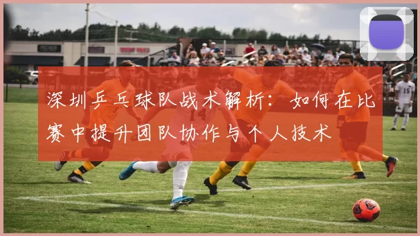 深圳乒乓球队战术解析：如何在比赛中提升团队协作与个人技术