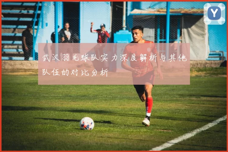 武汉羽毛球队实力深度解析与其他队伍的对比分析