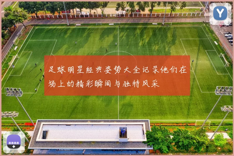 足球明星经典姿势大全记录他们在场上的精彩瞬间与独特风采
