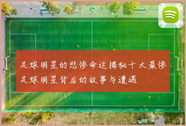 足球明星的悲惨命运揭秘十大最惨足球明星背后的故事与遭遇