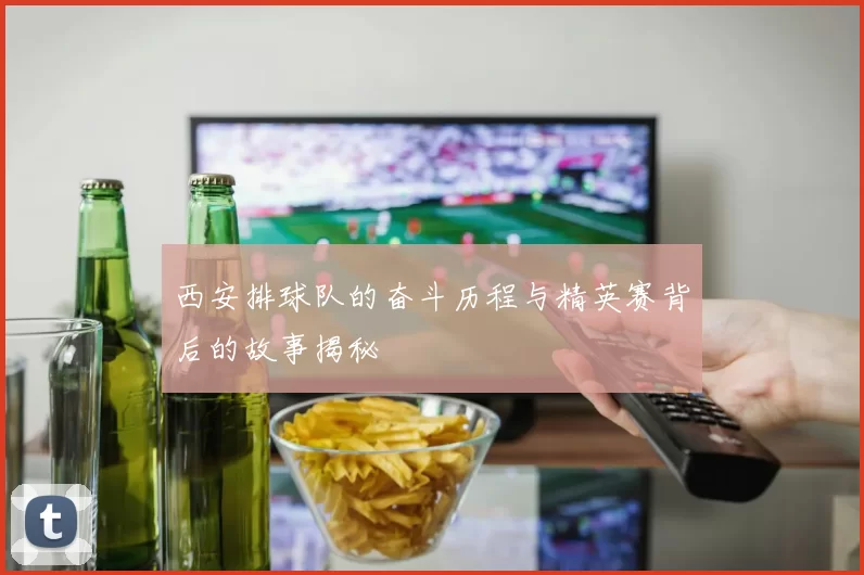 西安排球队的奋斗历程与精英赛背后的故事揭秘