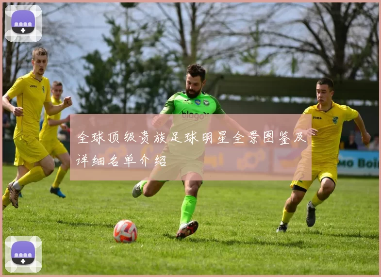 全球顶级贵族足球明星全景图鉴及详细名单介绍