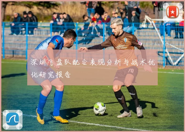 深圳飞盘队配合表现分析与战术优化研究报告