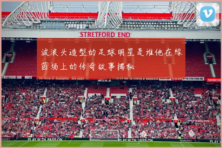 波浪头造型的足球明星是谁他在绿茵场上的传奇故事揭秘