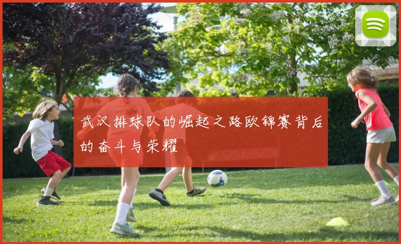武汉排球队的崛起之路欧锦赛背后的奋斗与荣耀