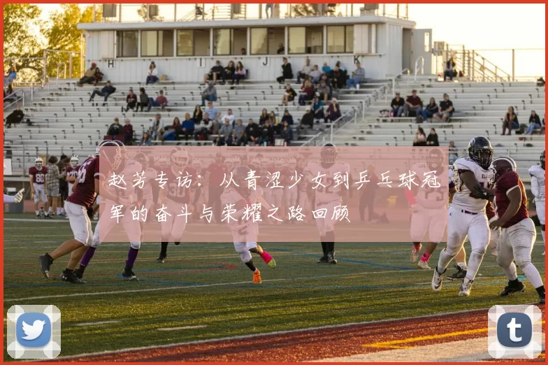 赵芳专访：从青涩少女到乒乓球冠军的奋斗与荣耀之路回顾