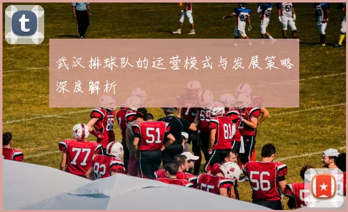 武汉排球队的运营模式与发展策略深度解析