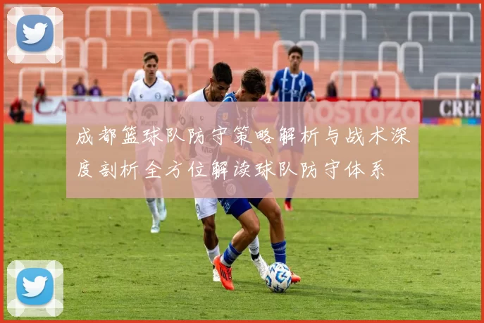 成都篮球队防守策略解析与战术深度剖析全方位解读球队防守体系