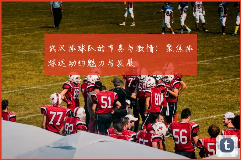 武汉排球队的节奏与激情：聚焦排球运动的魅力与发展
