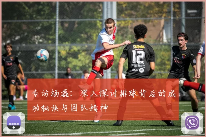 专访杨磊：深入探讨排球背后的成功秘诀与团队精神
