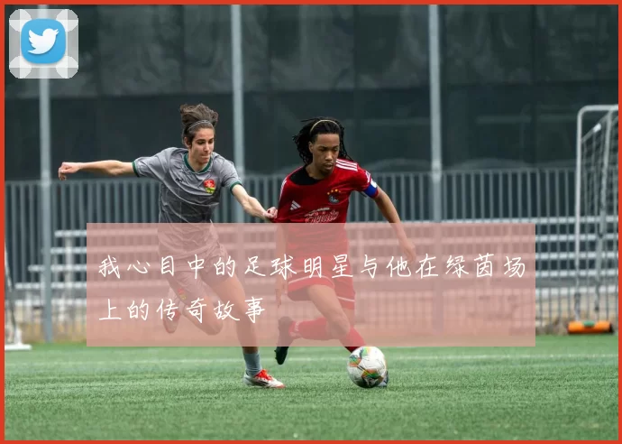 我心目中的足球明星与他在绿茵场上的传奇故事
