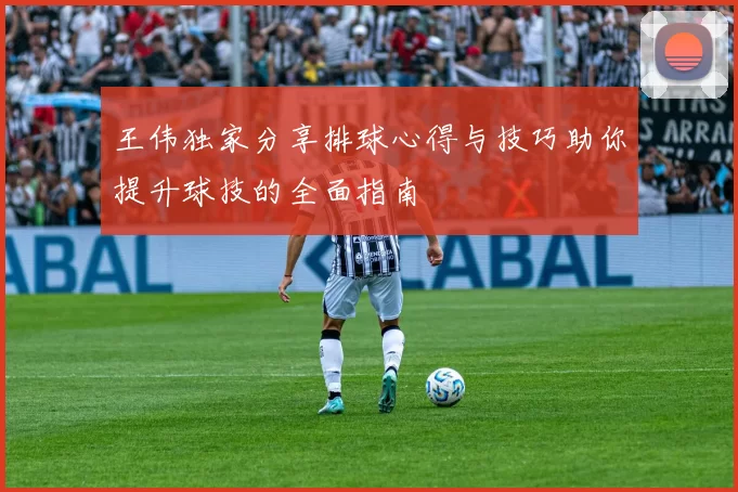 王伟独家分享排球心得与技巧助你提升球技的全面指南